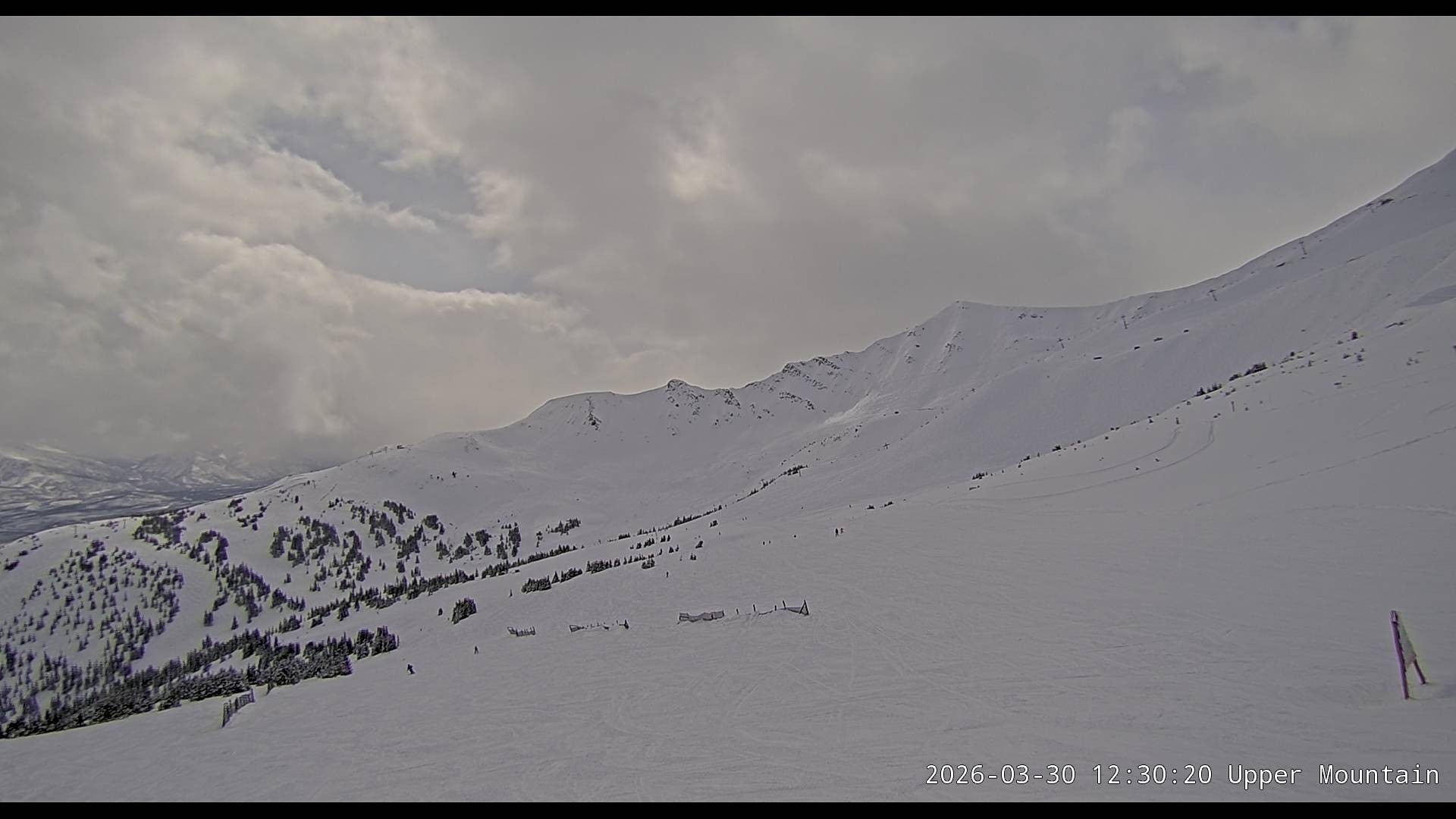 Archiv Foto Webcam Marmot Basin Upper Mountain, Alberta