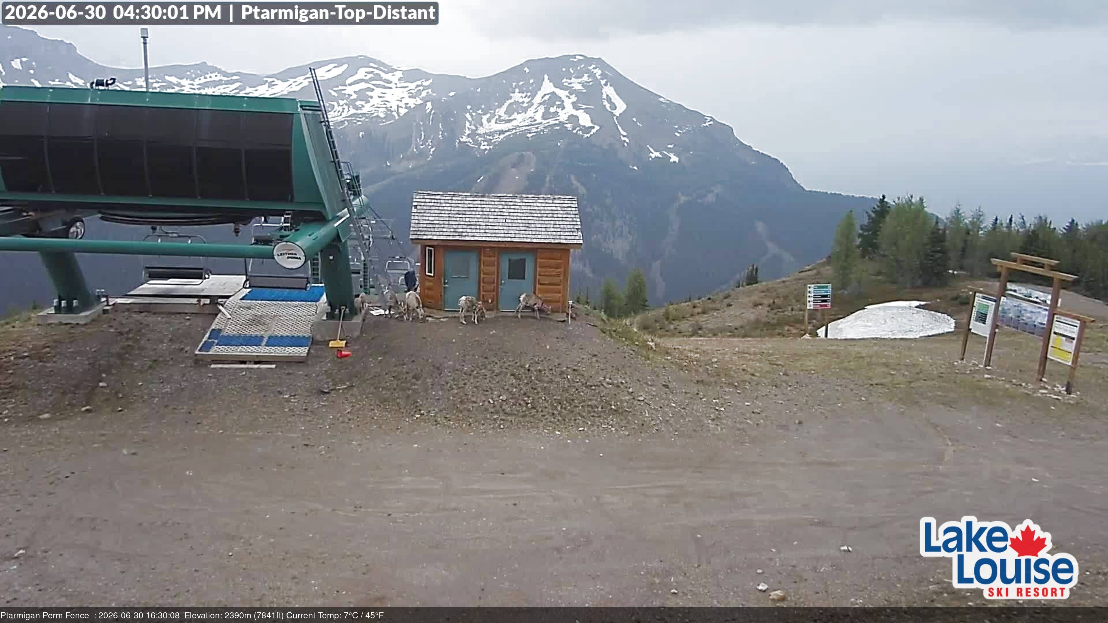 Archived image Webcam Outlook Chateau Lake Louise