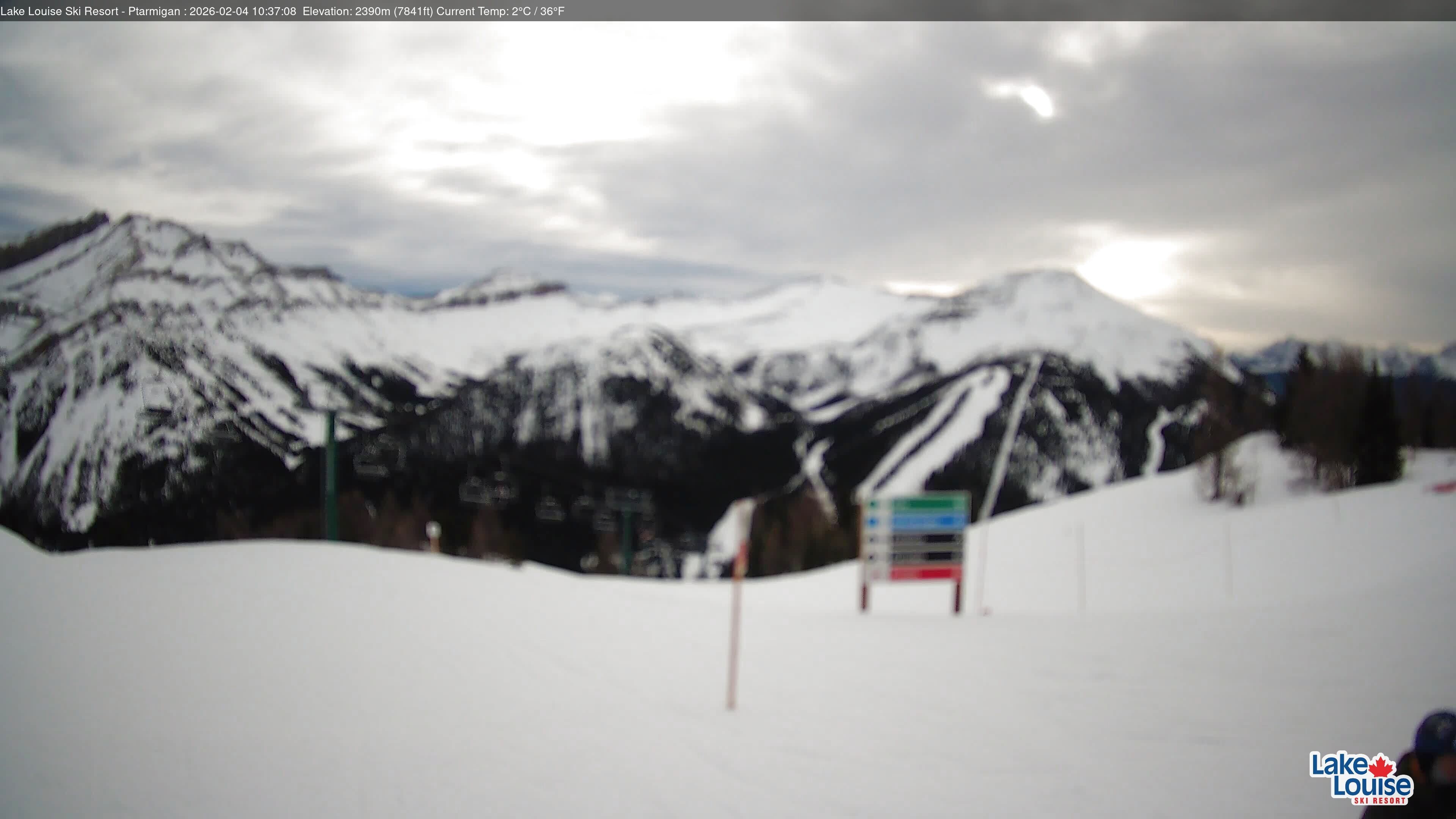 Archiv Foto Webcam Ptarmigan Panoramablick