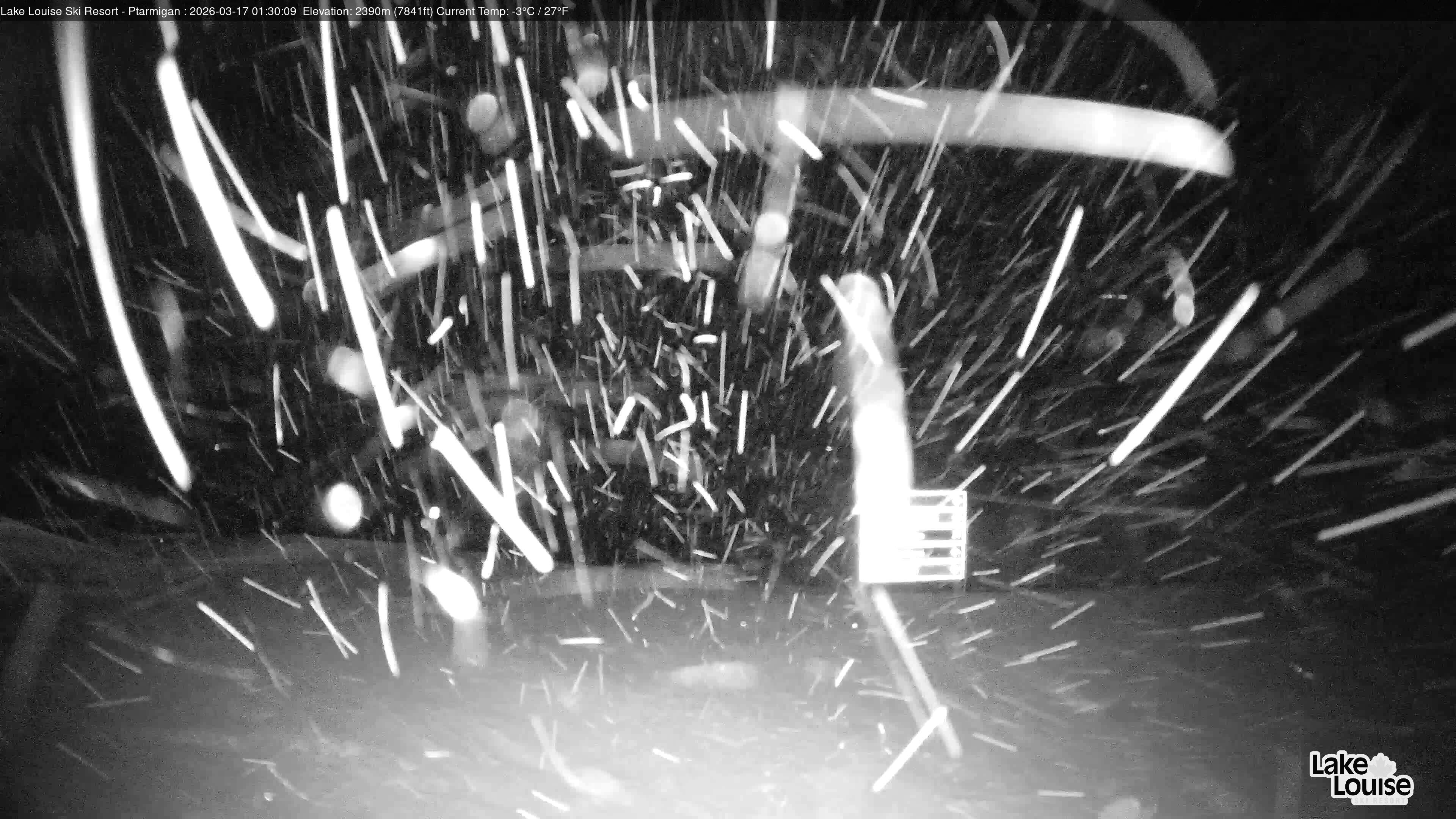 Archiv Foto Webcam Ptarmigan Panoramablick