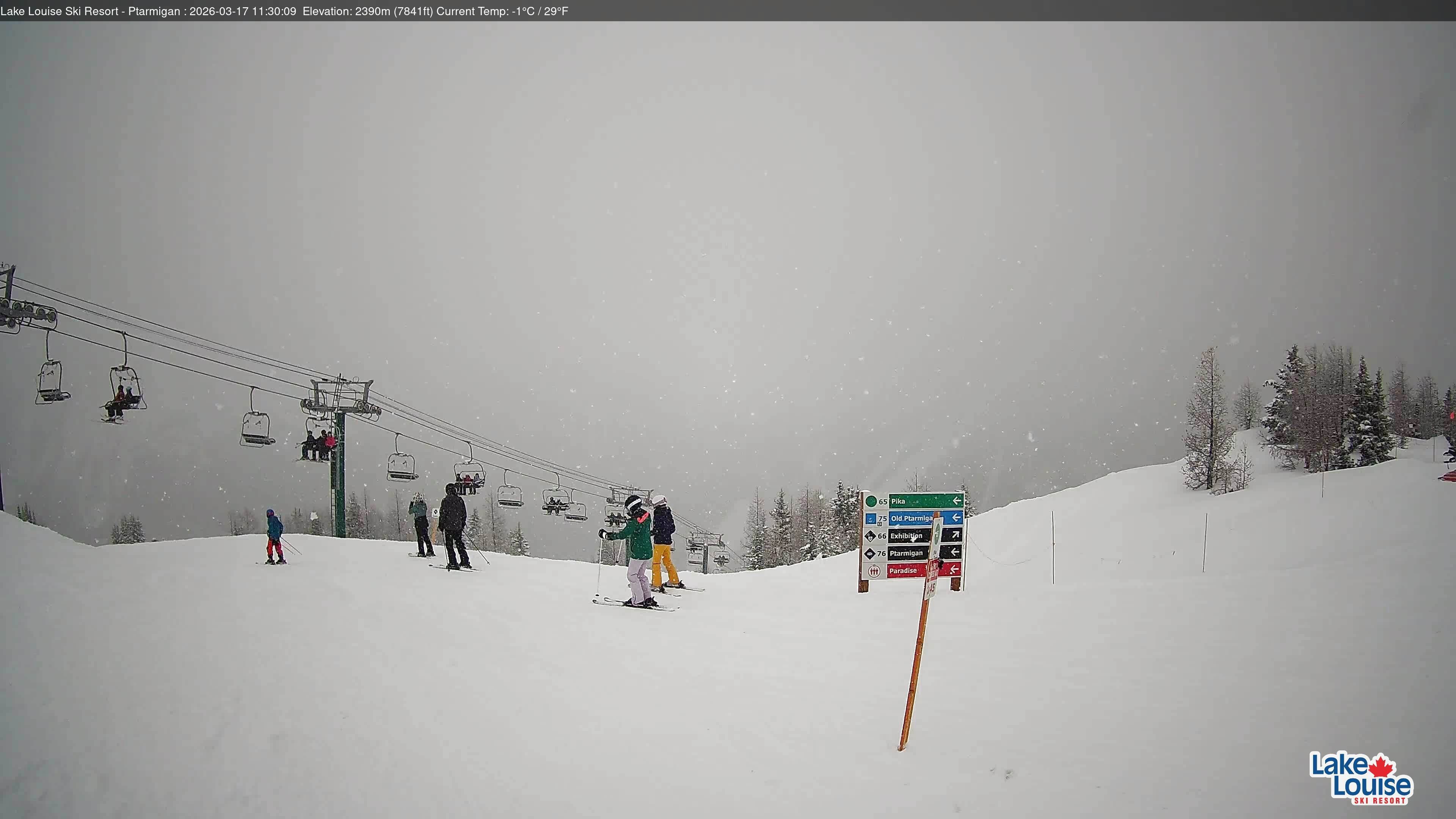 Archiv Foto Webcam Ptarmigan Panoramablick