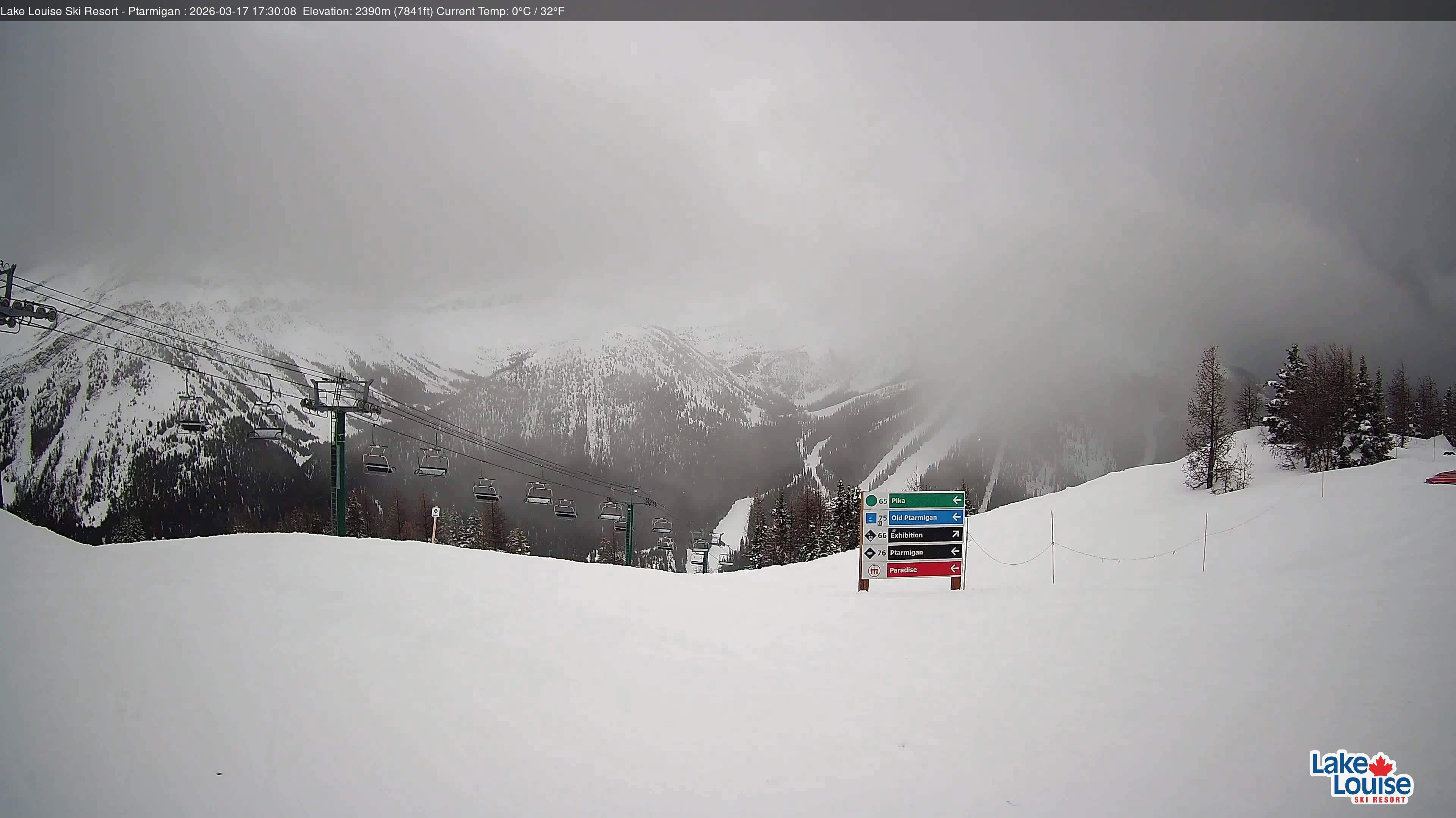 Archiv Foto Webcam Ptarmigan Panoramablick