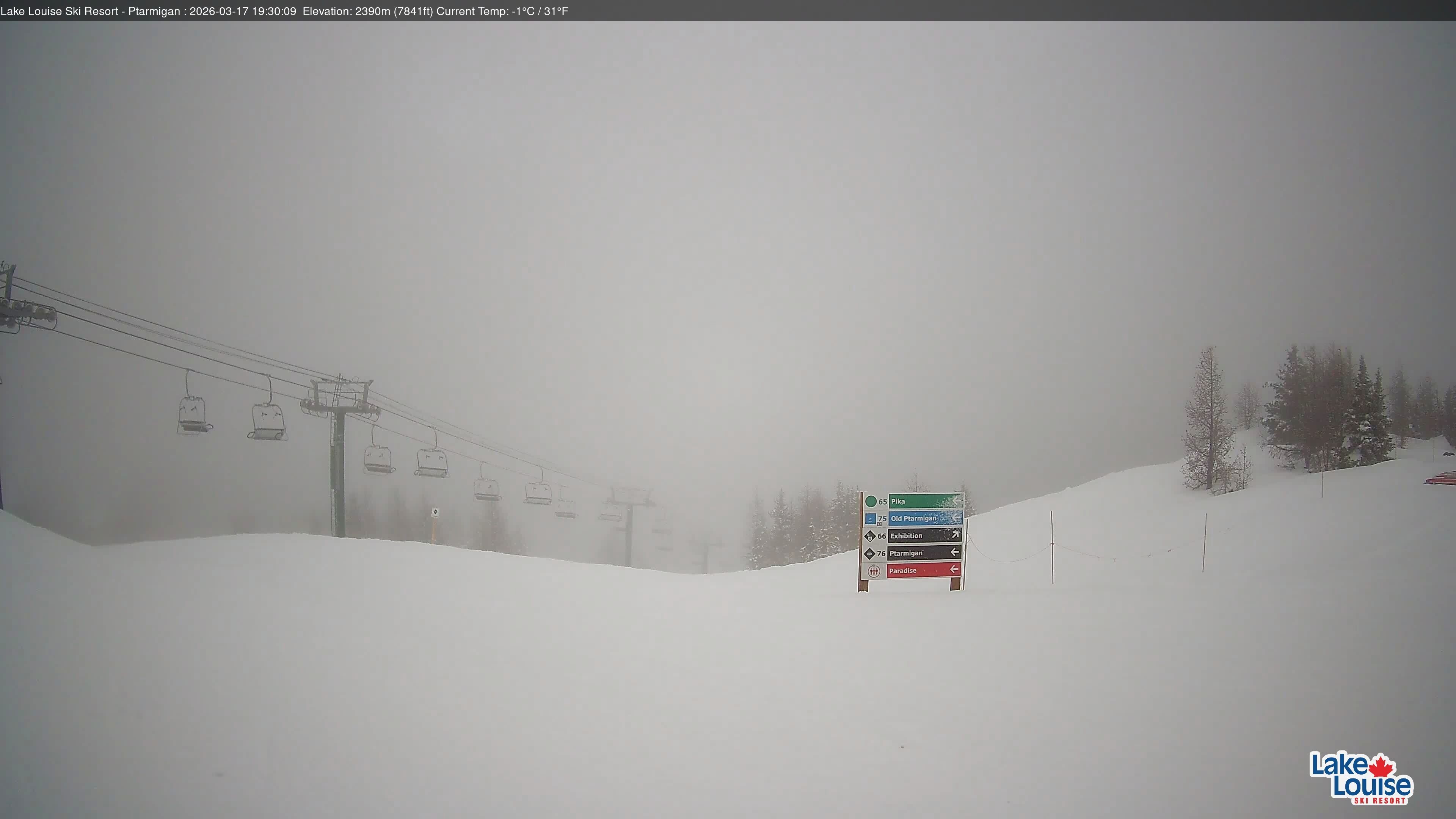 Archiv Foto Webcam Ptarmigan Panoramablick