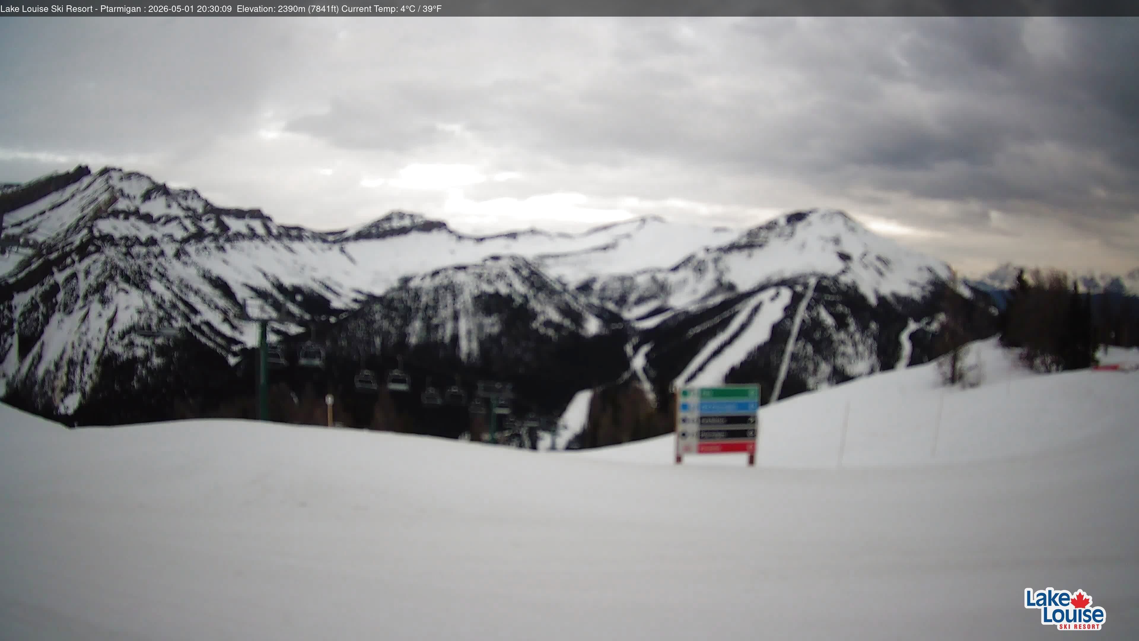 Archiv Foto Webcam Ptarmigan Panoramablick