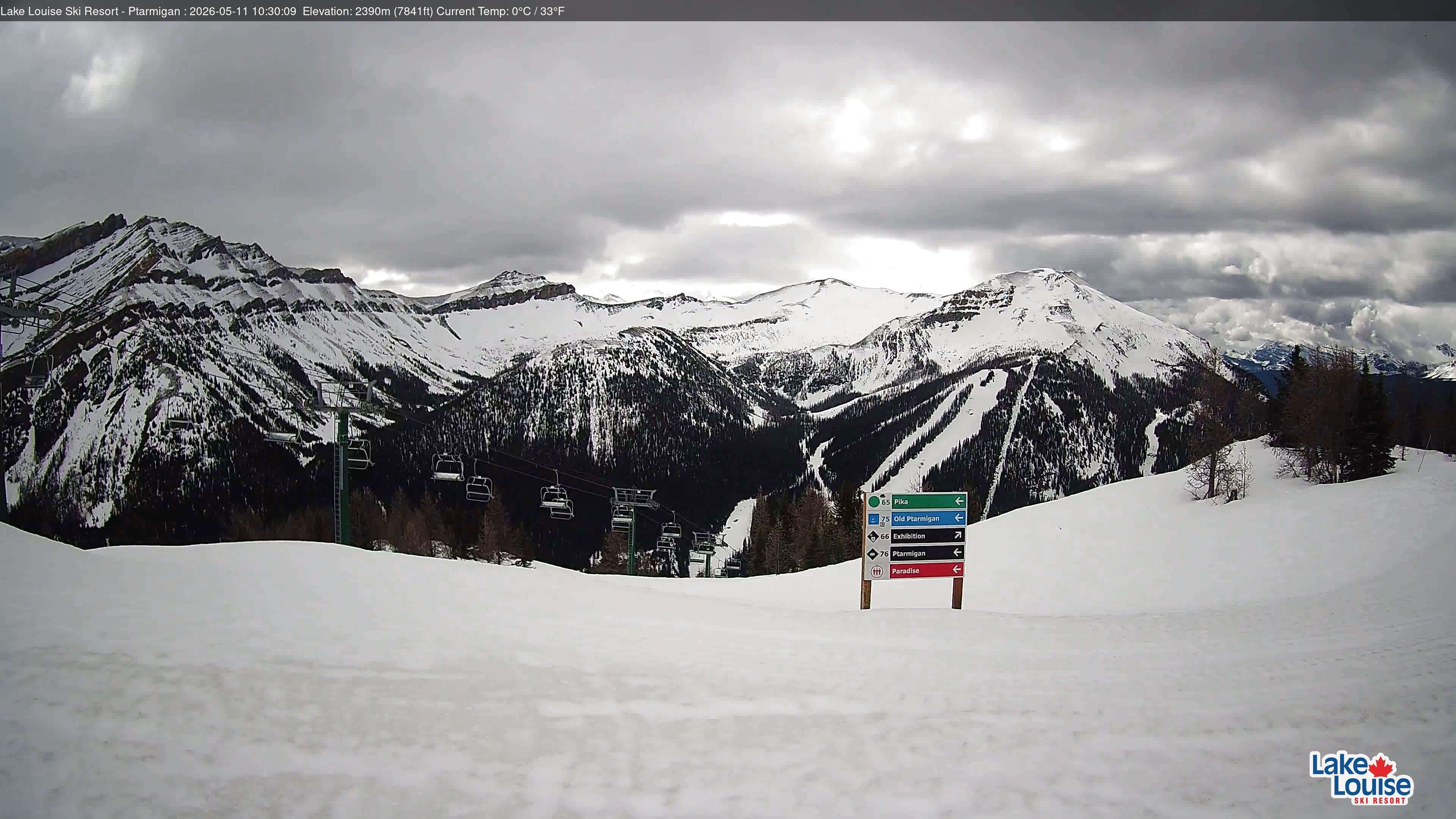 Archiv Foto Webcam Ptarmigan Panoramablick