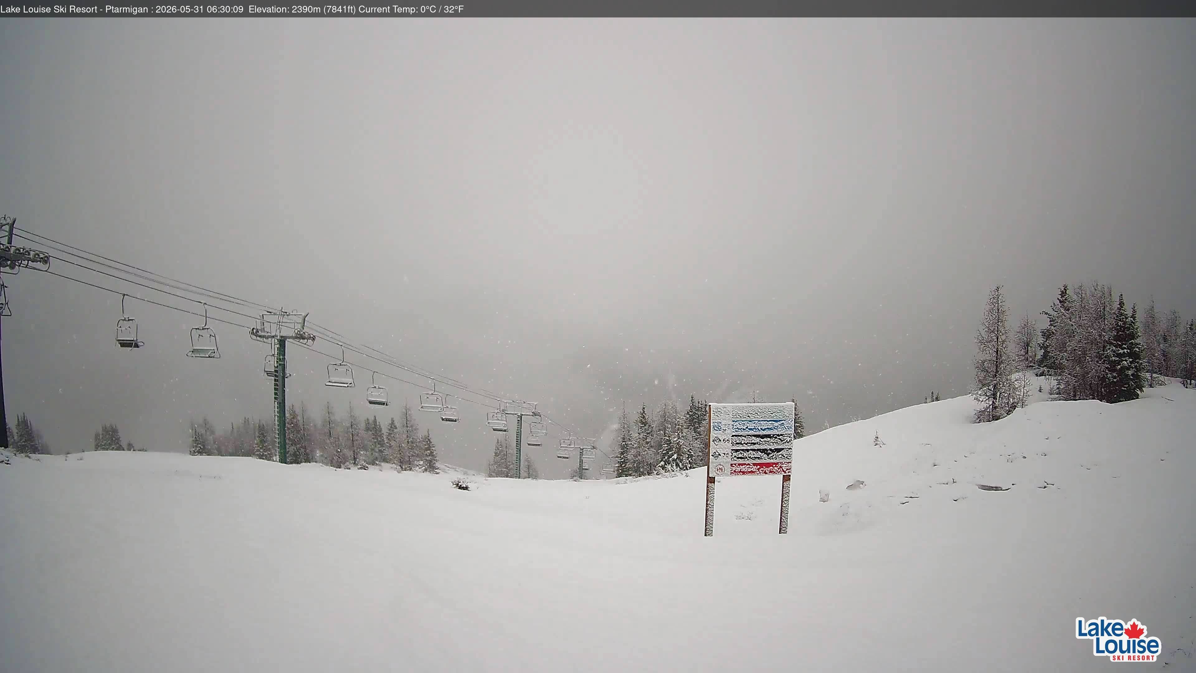 Archiv Foto Webcam Ptarmigan Panoramablick