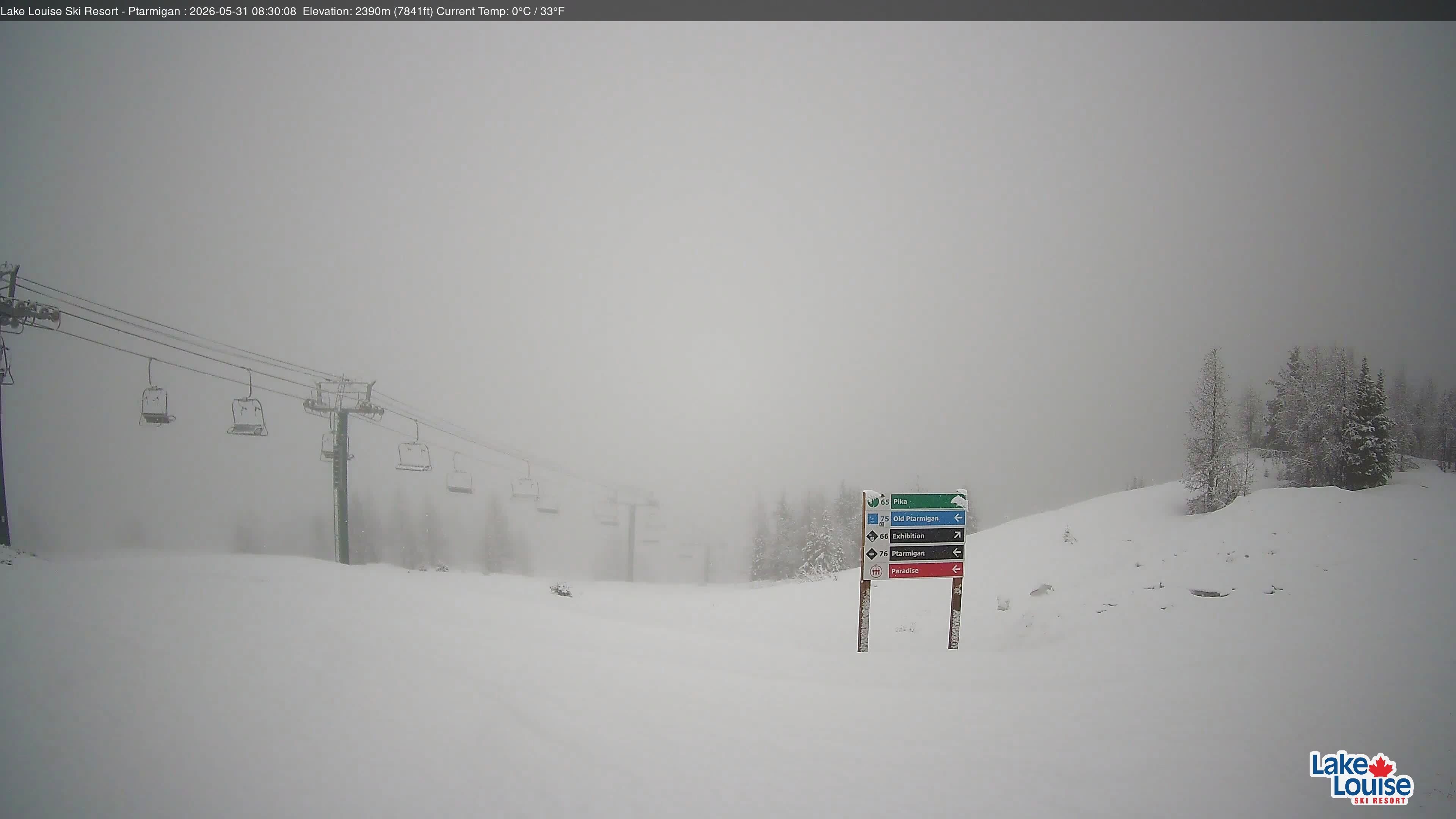Archiv Foto Webcam Ptarmigan Panoramablick
