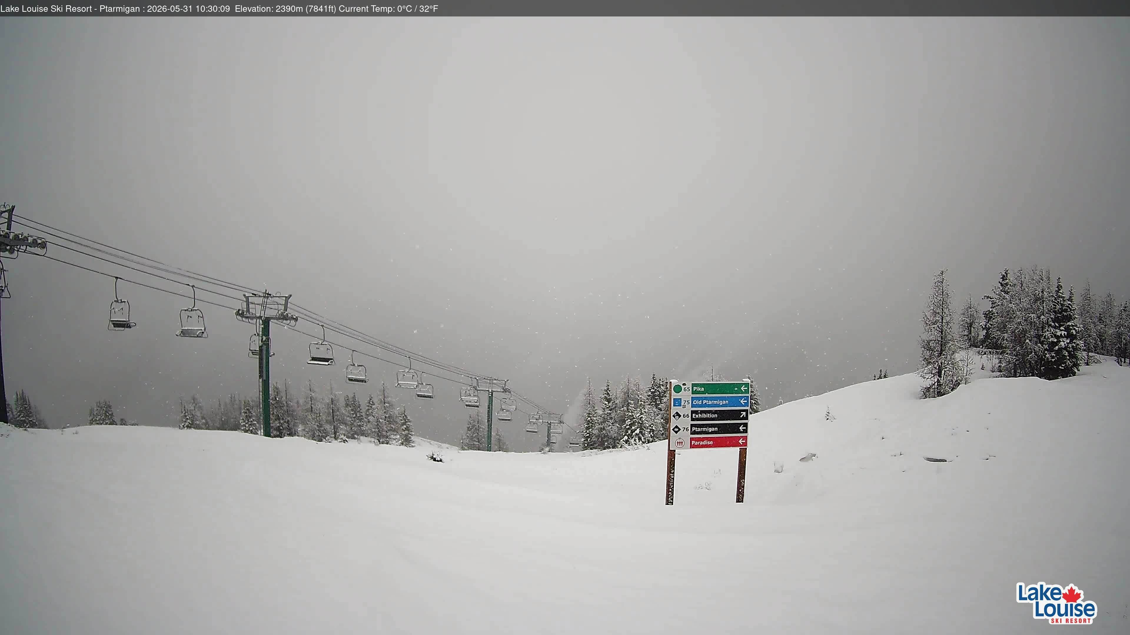 Archiv Foto Webcam Ptarmigan Panoramablick