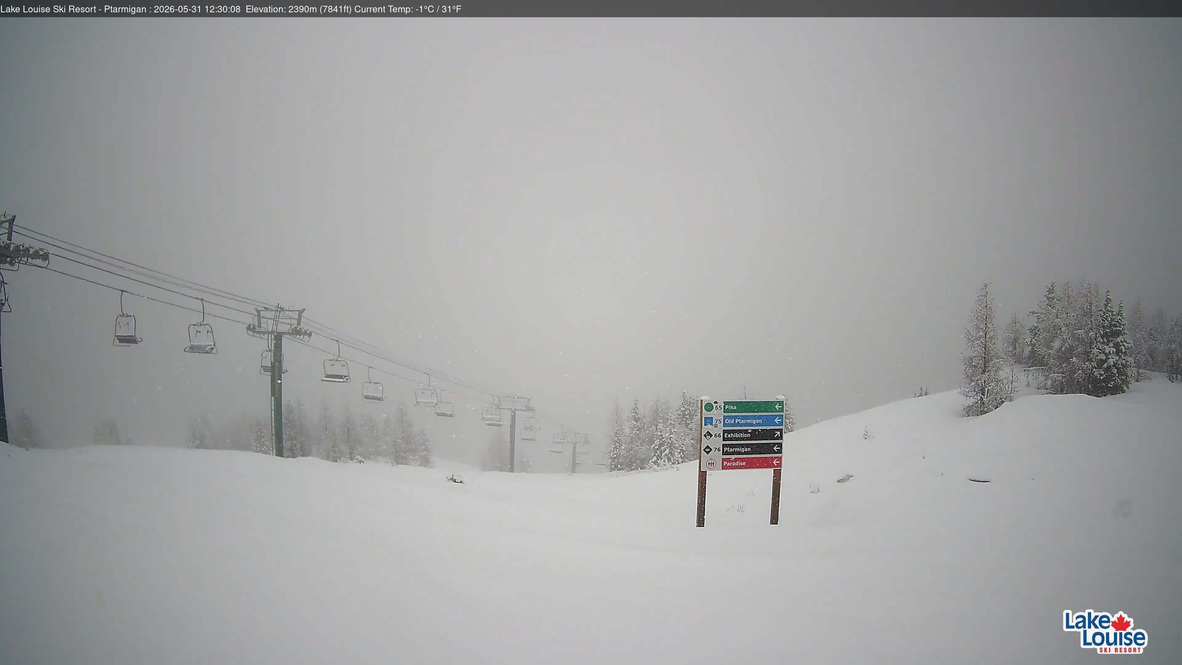 Archiv Foto Webcam Ptarmigan Panoramablick