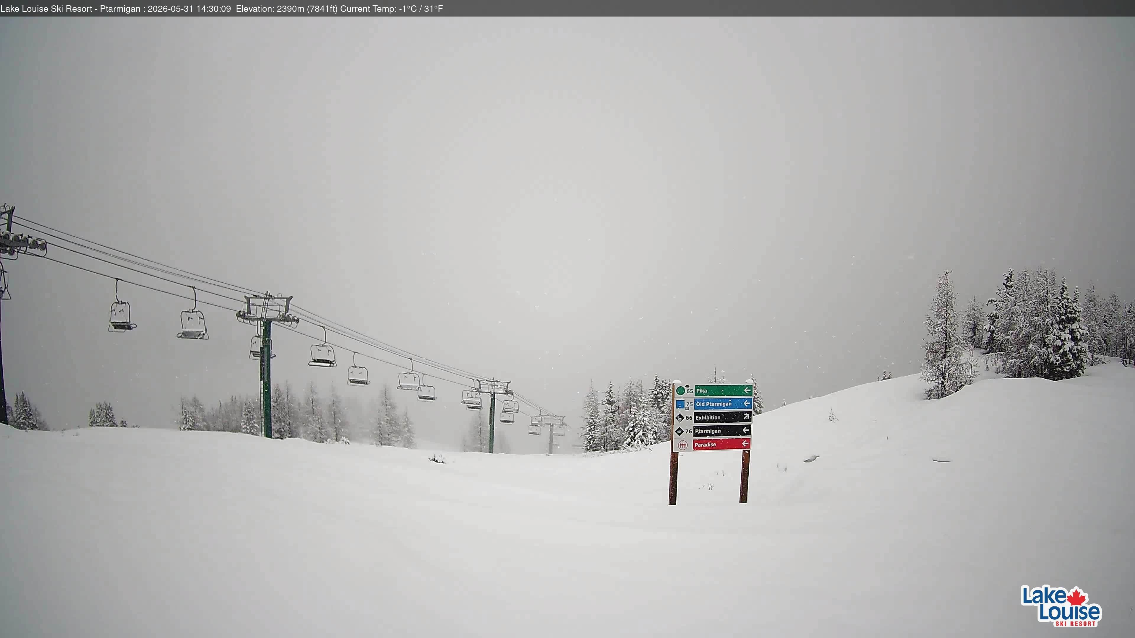 Archiv Foto Webcam Ptarmigan Panoramablick