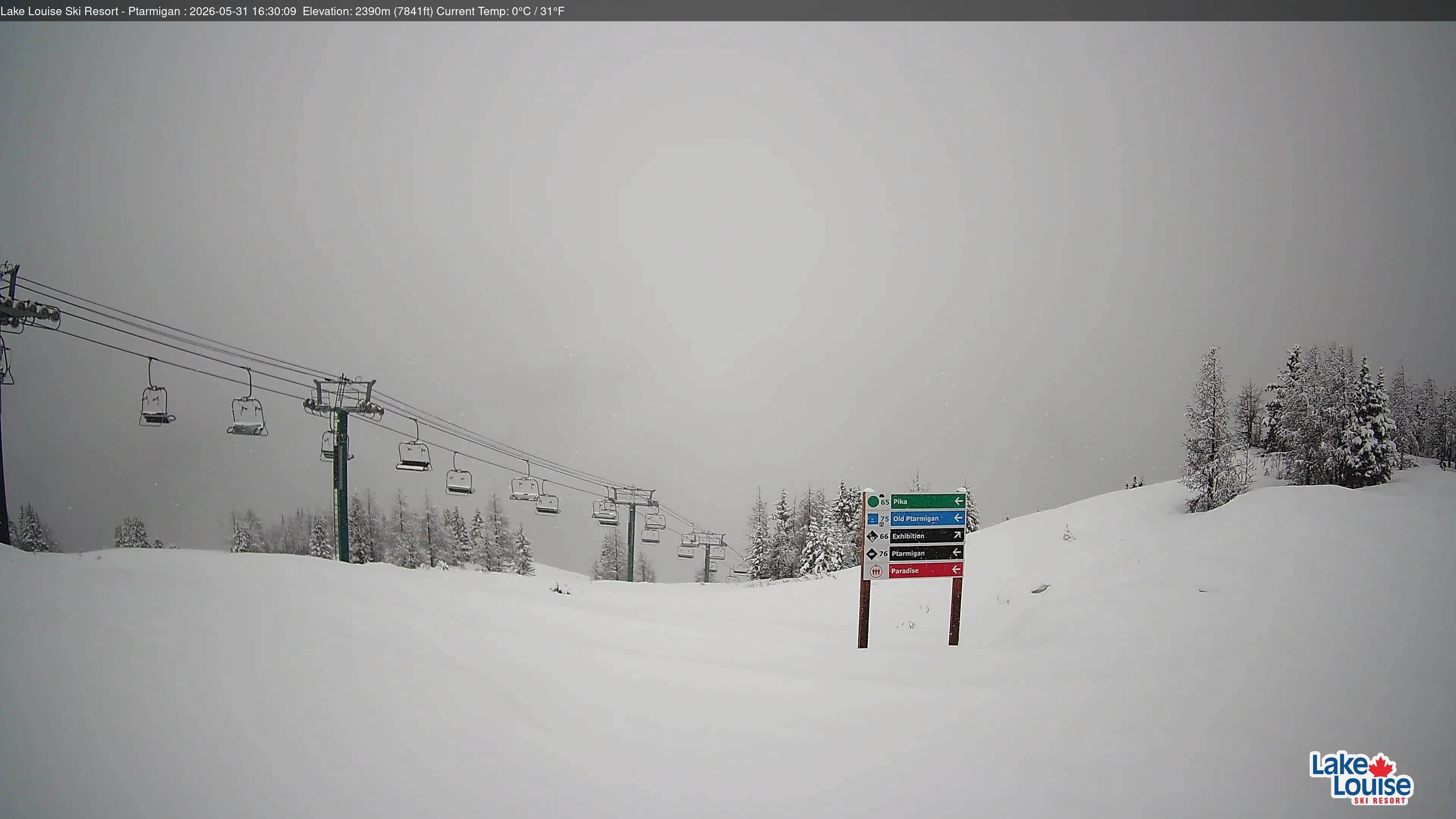 Archiv Foto Webcam Ptarmigan Panoramablick