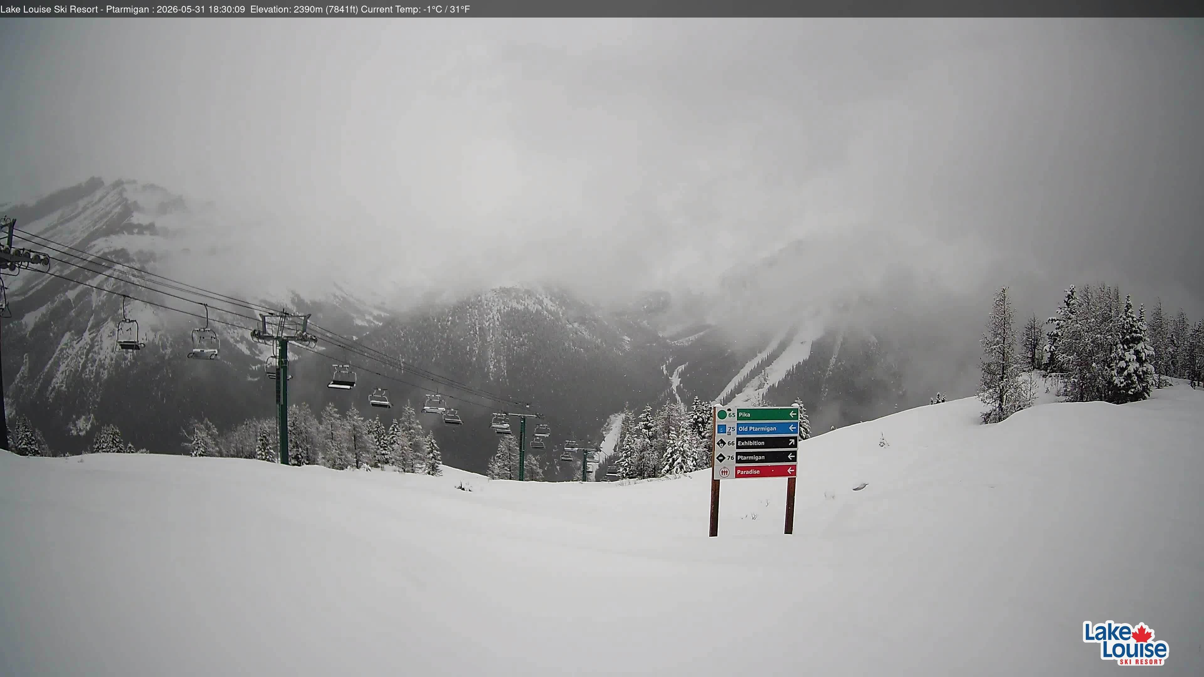 Archiv Foto Webcam Ptarmigan Panoramablick
