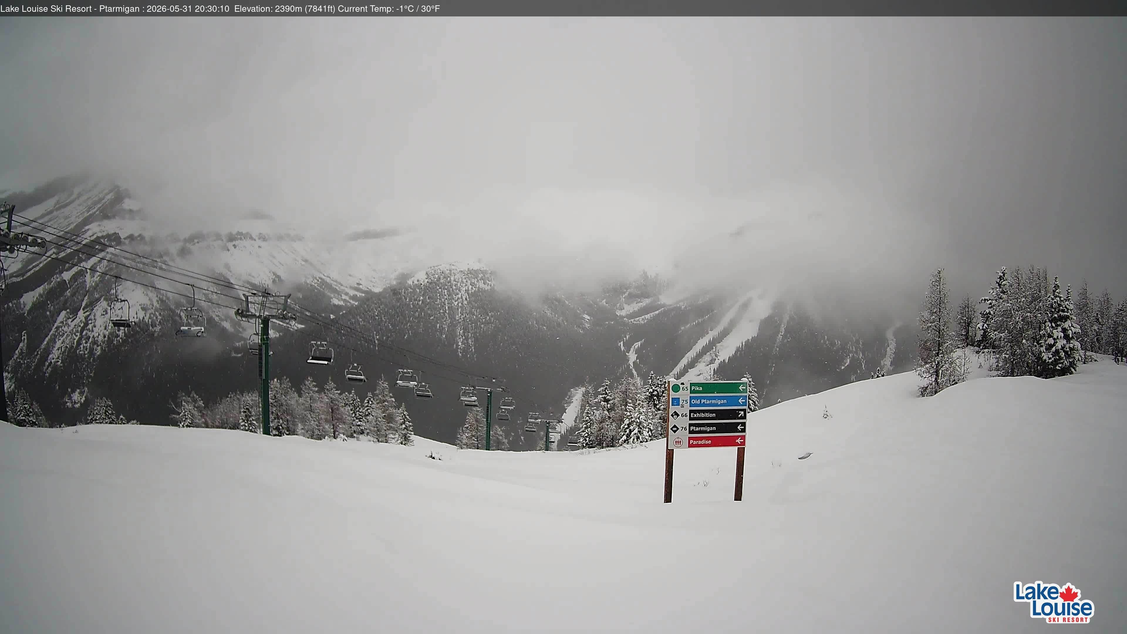 Archiv Foto Webcam Ptarmigan Panoramablick