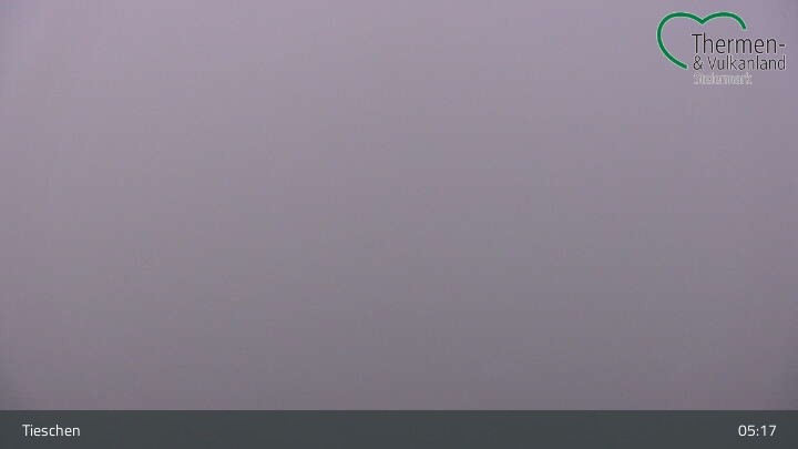 Archived image Webcam Tieschen Town View