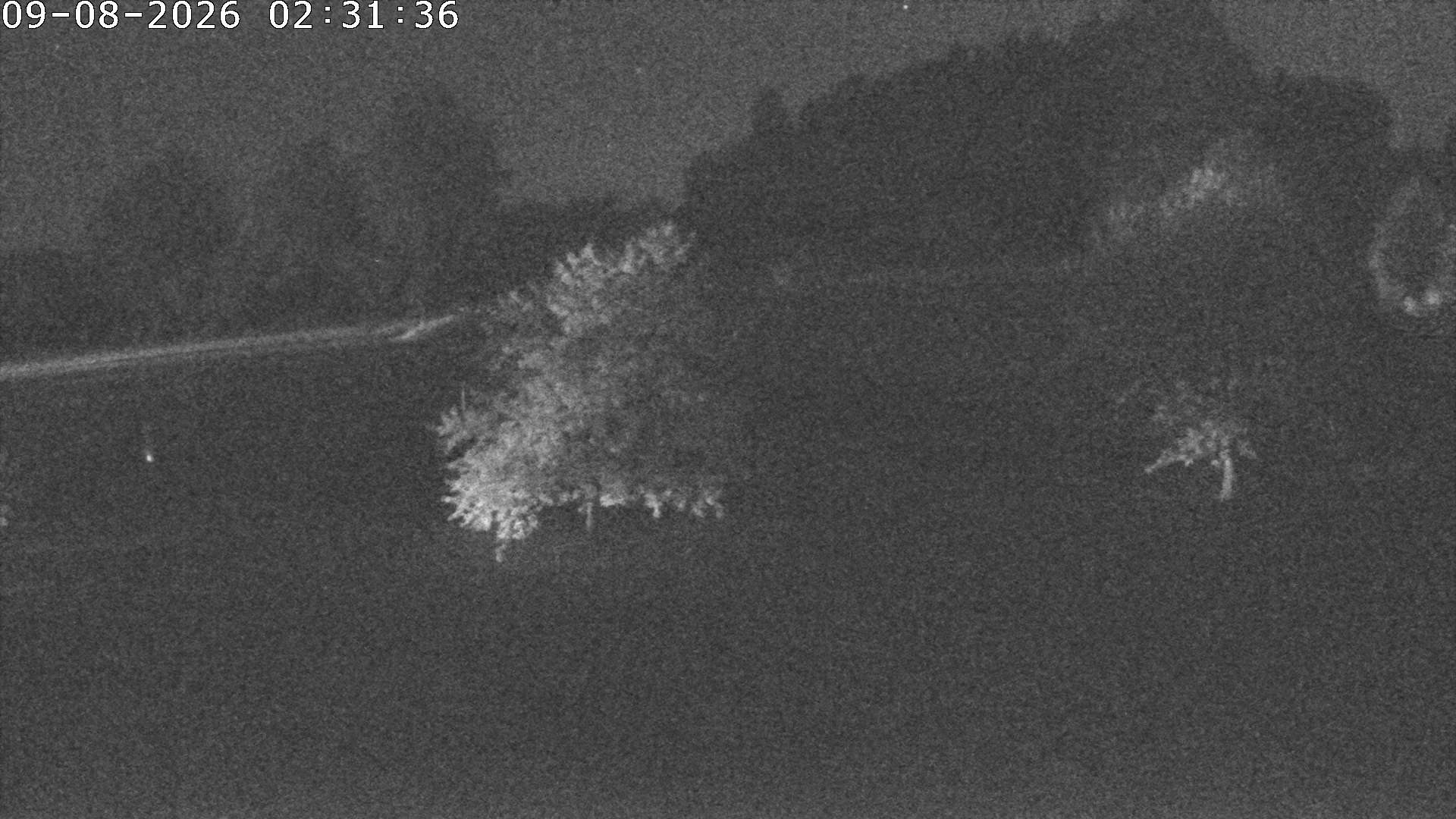 Archived image Webcam Donnstetten luge run