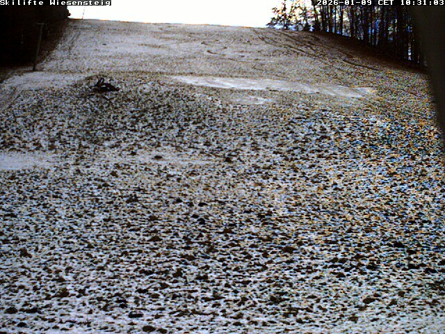 Archiv Foto Webcam Wiesensteig Bläsiberg