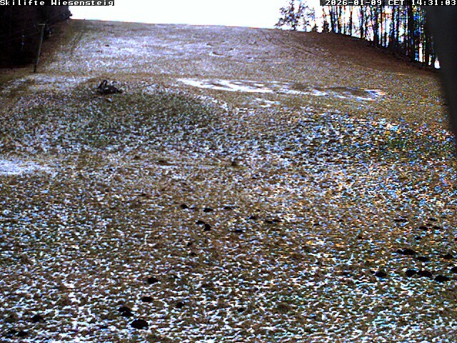 Archiv Foto Webcam Wiesensteig Bläsiberg
