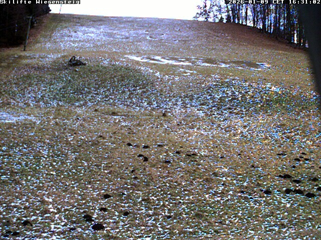 Archiv Foto Webcam Wiesensteig Bläsiberg