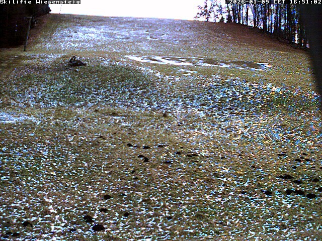 Archiv Foto Webcam Wiesensteig Bläsiberg