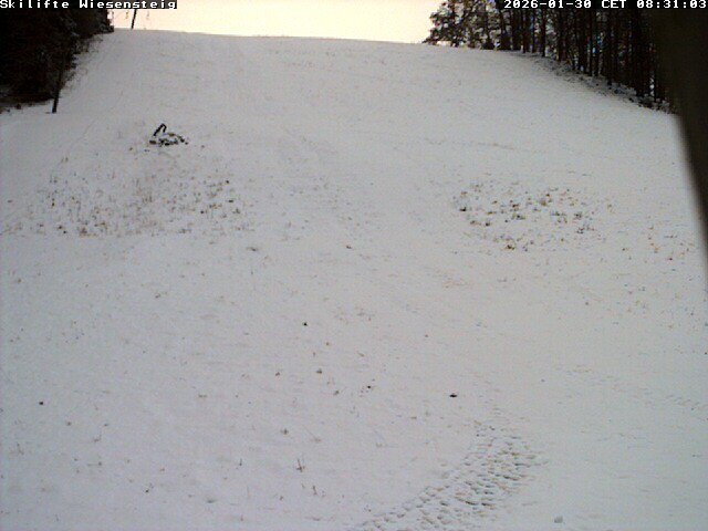 Archiv Foto Webcam Wiesensteig Bläsiberg