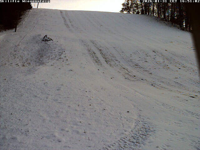 Archiv Foto Webcam Wiesensteig Bläsiberg