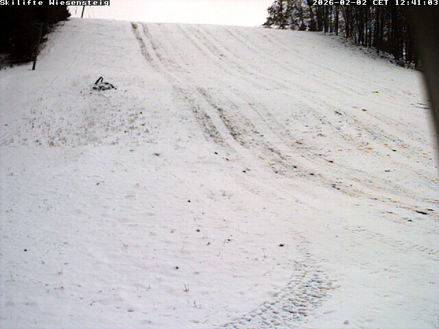 Archiv Foto Webcam Wiesensteig Bläsiberg