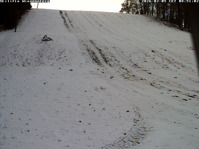 Archiv Foto Webcam Wiesensteig Bläsiberg