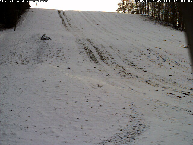 Archiv Foto Webcam Wiesensteig Bläsiberg