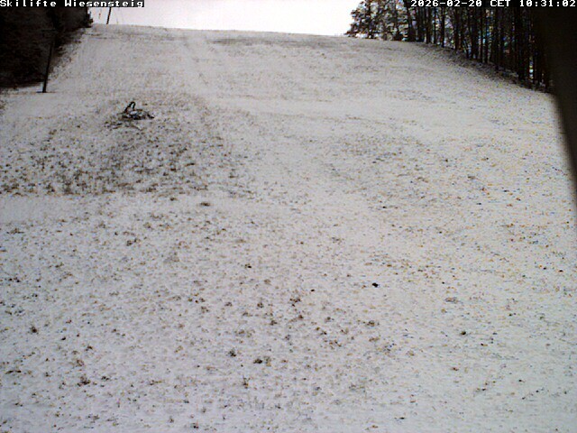 Archiv Foto Webcam Wiesensteig Bläsiberg