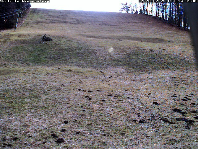 Archived image Webcam Bläsiberg