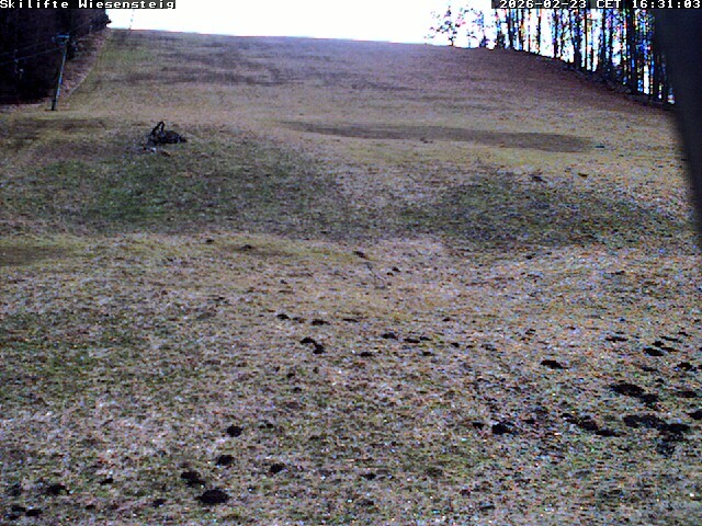 Archived image Webcam Bläsiberg