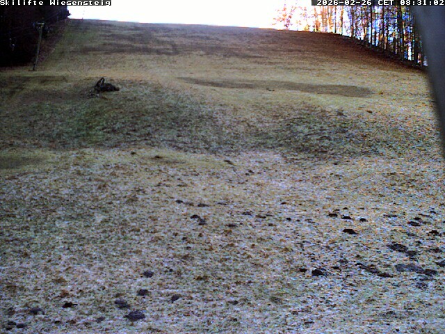 Archiv Foto Webcam Wiesensteig Bläsiberg