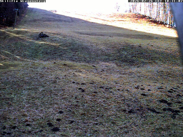 Archiv Foto Webcam Wiesensteig Bläsiberg