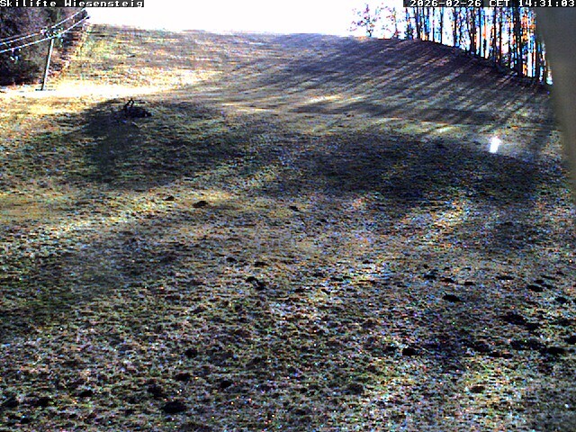 Archiv Foto Webcam Wiesensteig Bläsiberg