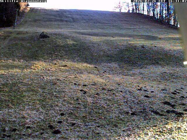Archiv Foto Webcam Wiesensteig Bläsiberg