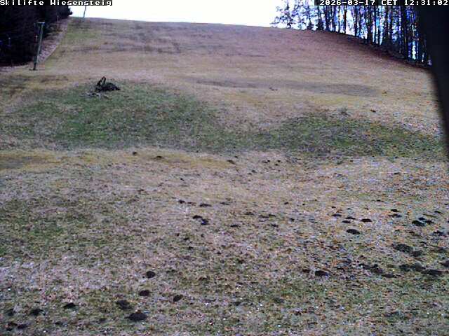 Archived image Webcam Bläsiberg