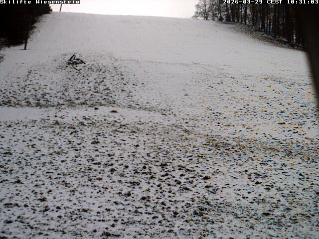 Archiv Foto Webcam Wiesensteig Bläsiberg
