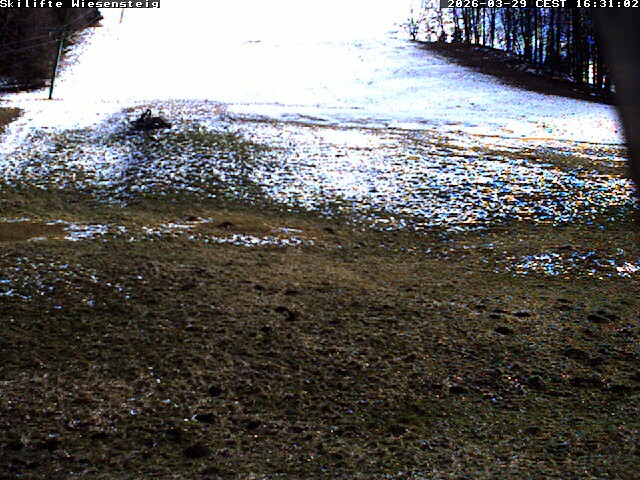 Archiv Foto Webcam Wiesensteig Bläsiberg