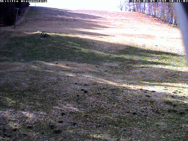 Archiv Foto Webcam Wiesensteig Bläsiberg