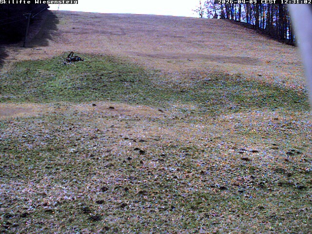 Archiv Foto Webcam Wiesensteig Bläsiberg
