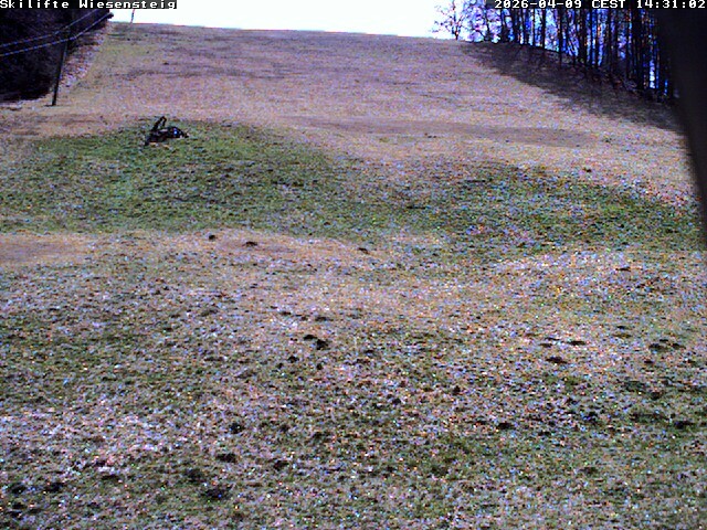 Archiv Foto Webcam Wiesensteig Bläsiberg