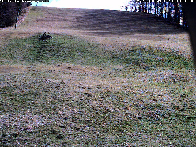 Archiv Foto Webcam Wiesensteig Bläsiberg