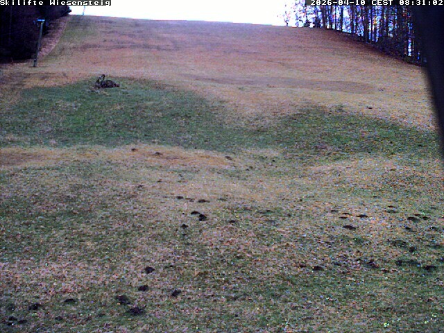 Archiv Foto Webcam Wiesensteig Bläsiberg