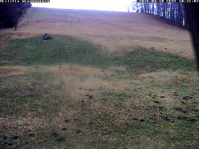 Archiv Foto Webcam Wiesensteig Bläsiberg