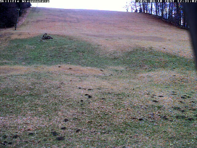 Archiv Foto Webcam Wiesensteig Bläsiberg