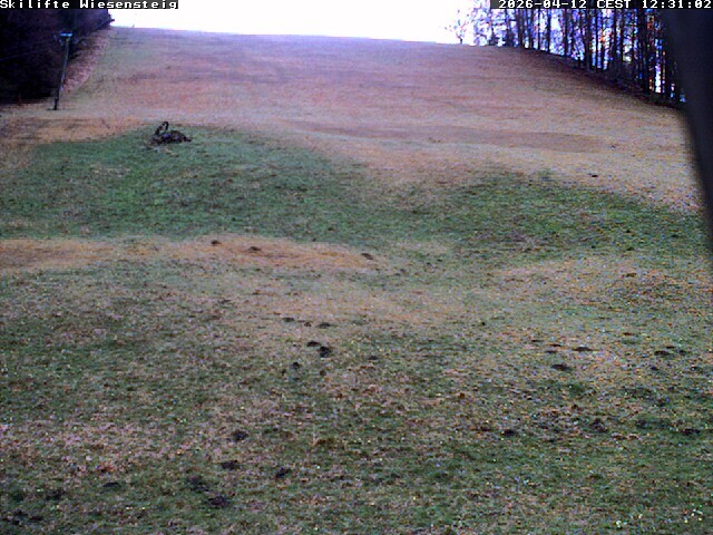 Archived image Webcam Bläsiberg