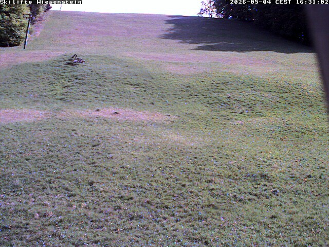 Archiv Foto Webcam Wiesensteig Bläsiberg
