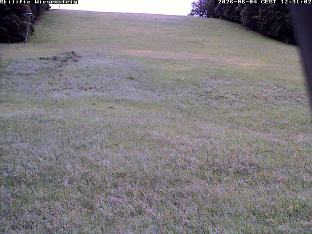 Archiv Foto Webcam Wiesensteig Bläsiberg