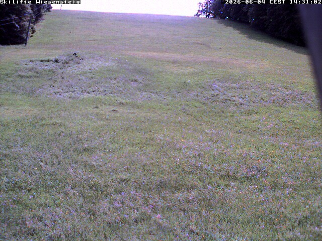 Archiv Foto Webcam Wiesensteig Bläsiberg