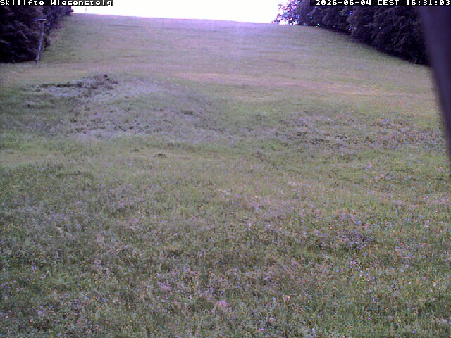 Archiv Foto Webcam Wiesensteig Bläsiberg